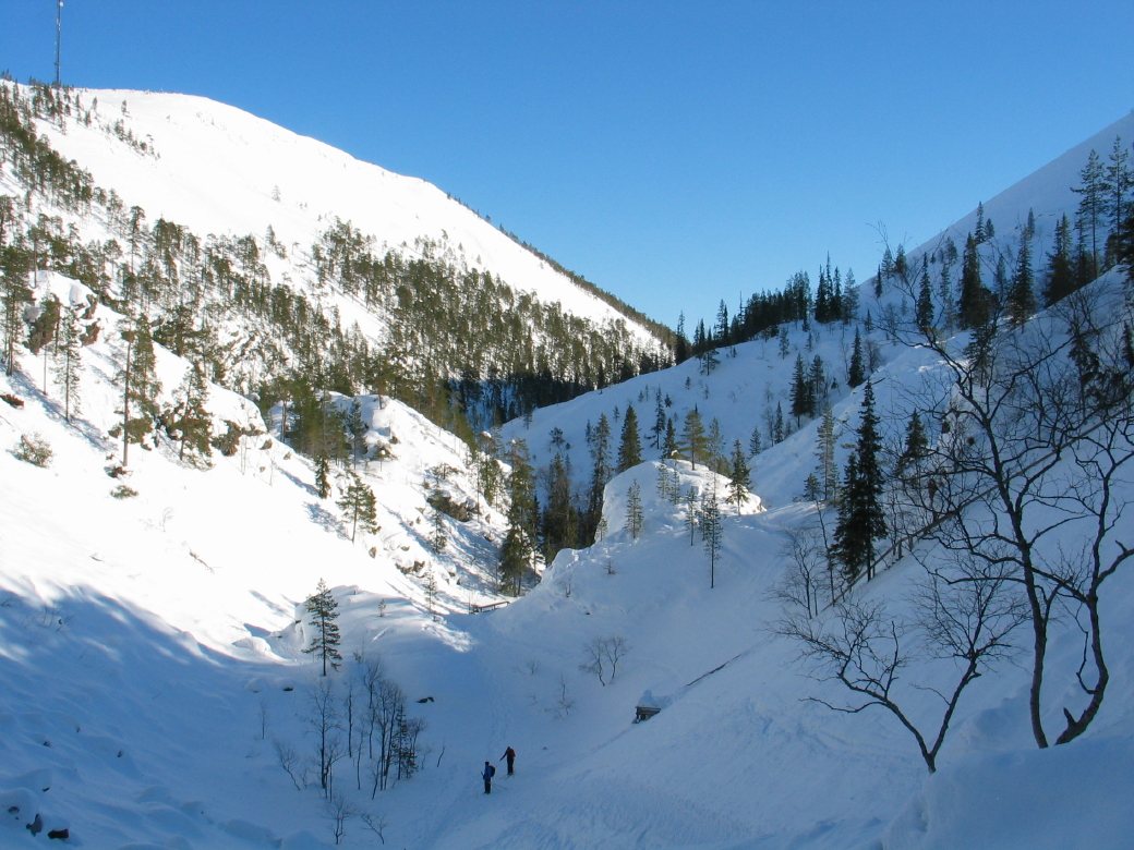 A snow-filled view into Isokuru gorge in Pyhä-Luosto National Park.