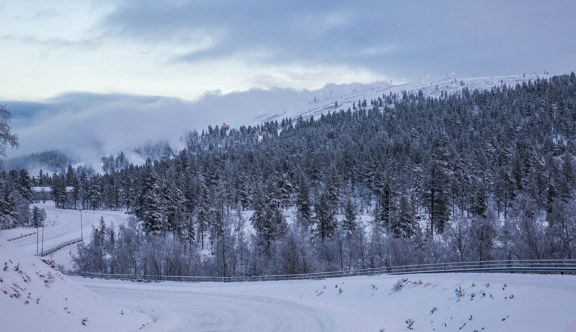 Saariselkä fell and snowy forest in soft blue polar-night light