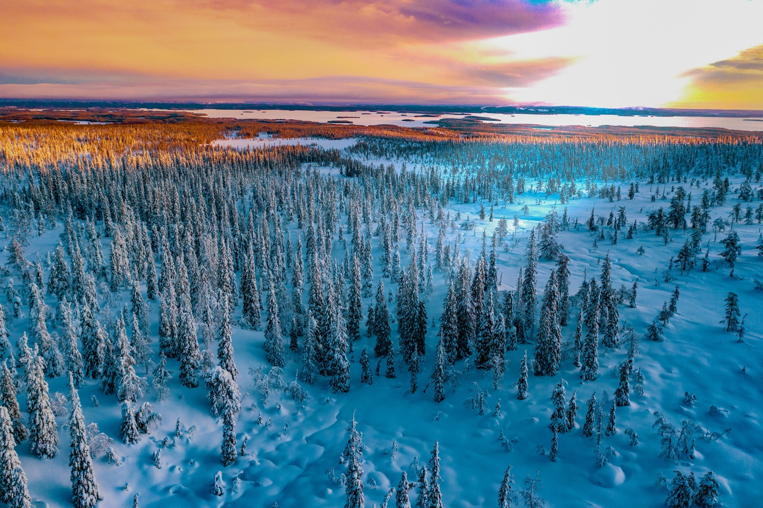 Aerial view across snow-covered Northern Lapland forest and fells
