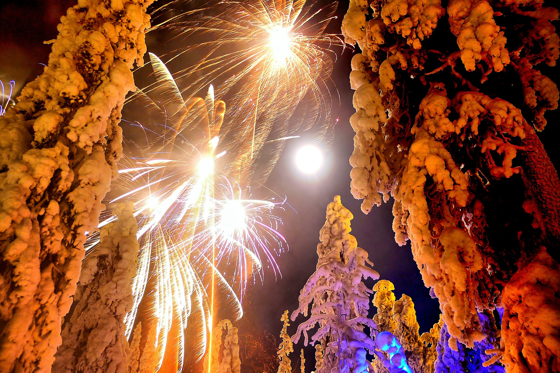 Fireworks bursting above a snow-covered forest in Ruka, Finland.